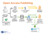 open_access_graphic.png