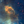 rsousse's avatar