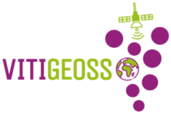 Vitigeoss logo