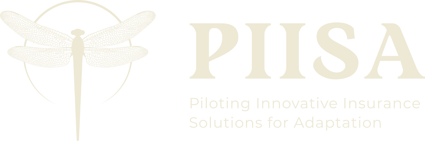 PIISA logo